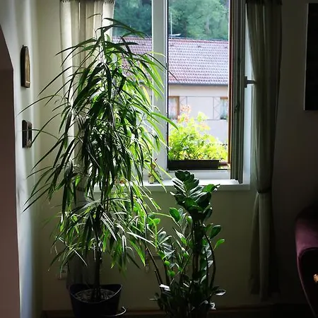 Apartment Apartment Na Karlstejne